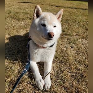 Thanks for checking out my closet and say hi to your dog for me! 💜🐶